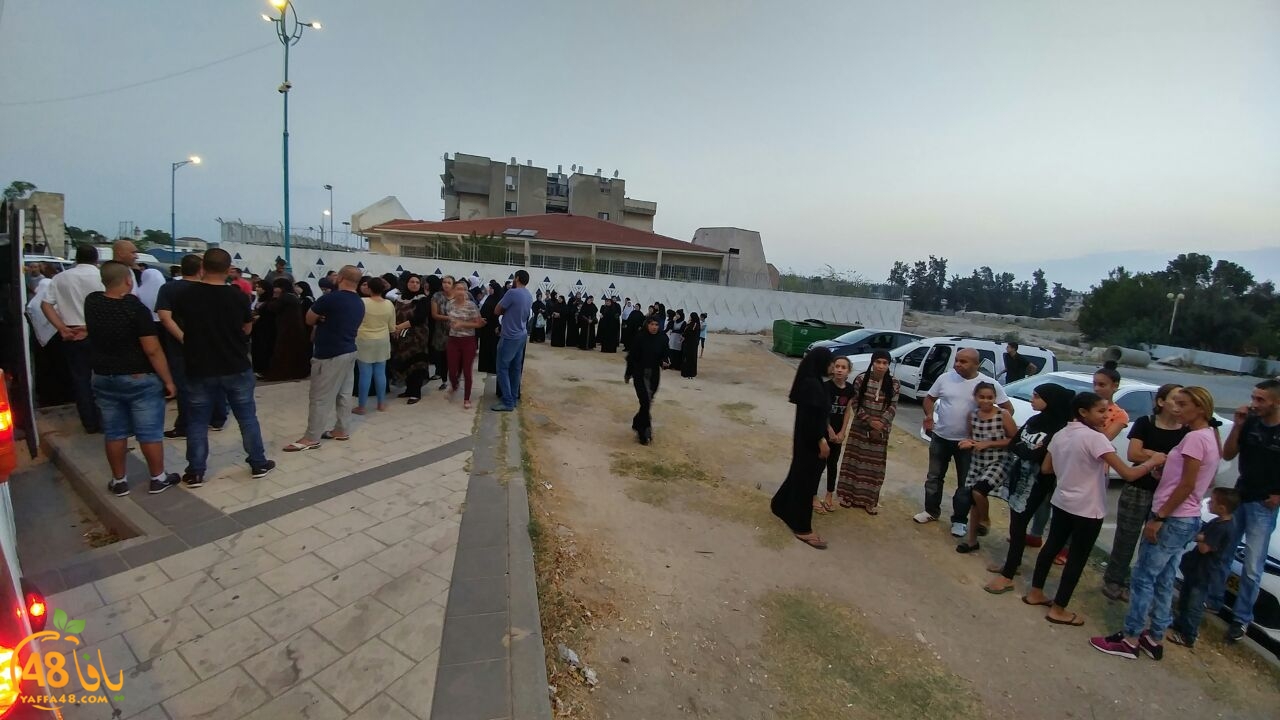 7ojaj ludi 3 (2).jpg